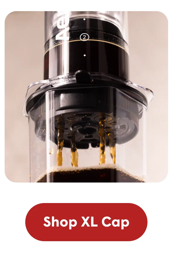 Shop XL Cap