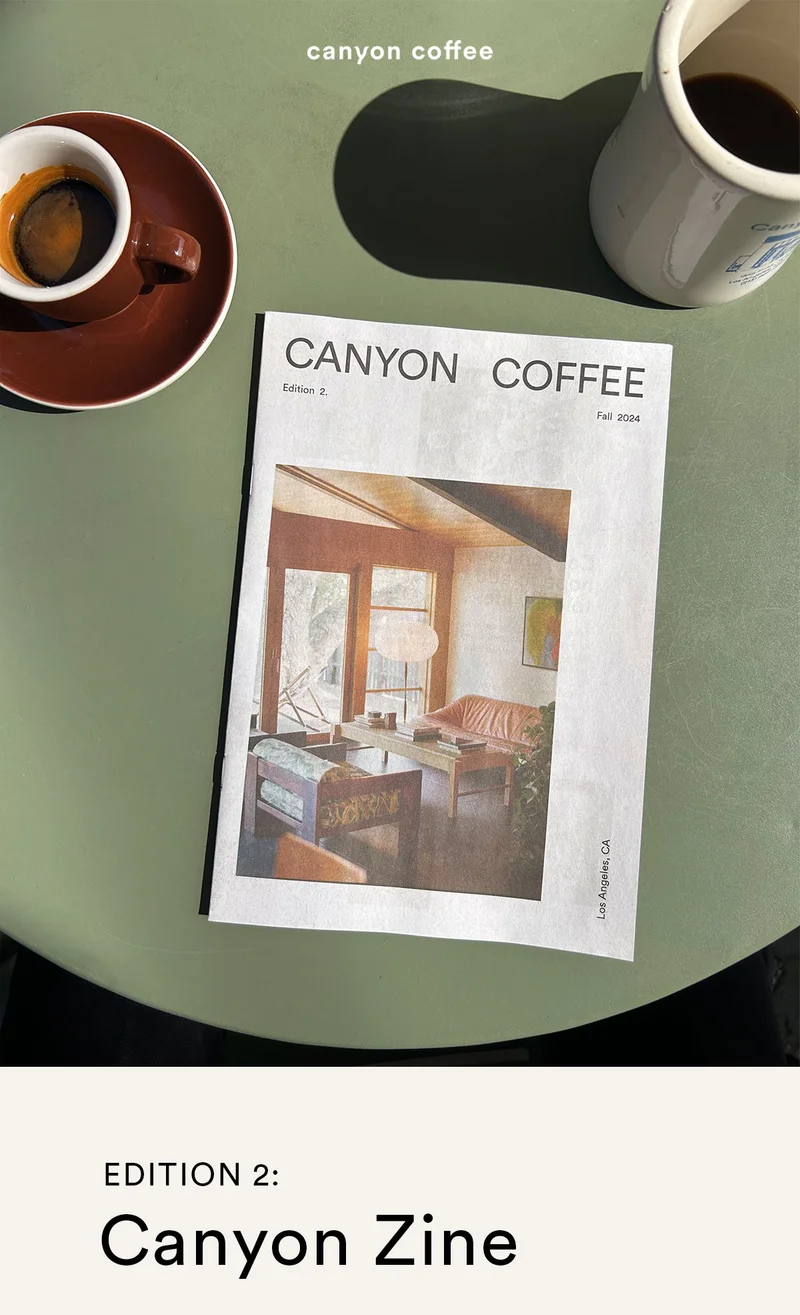canyon zine