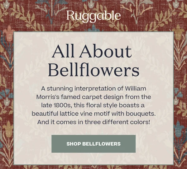 Shop Bellflowers