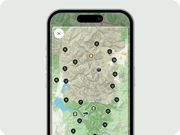 Phone screen.