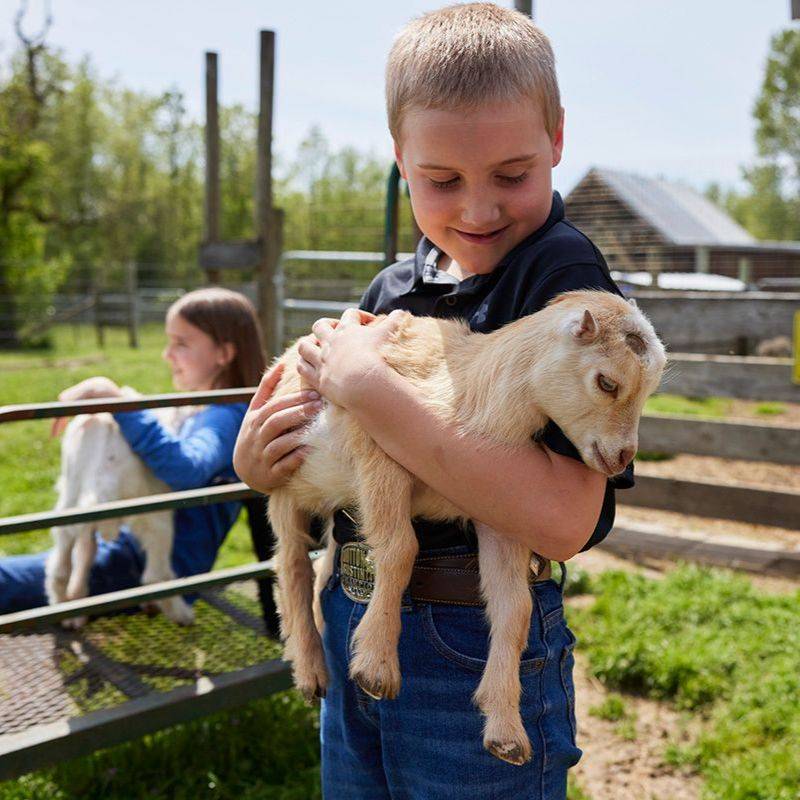Oregon's Hidden Gem Is a Kid-Friendly Playground