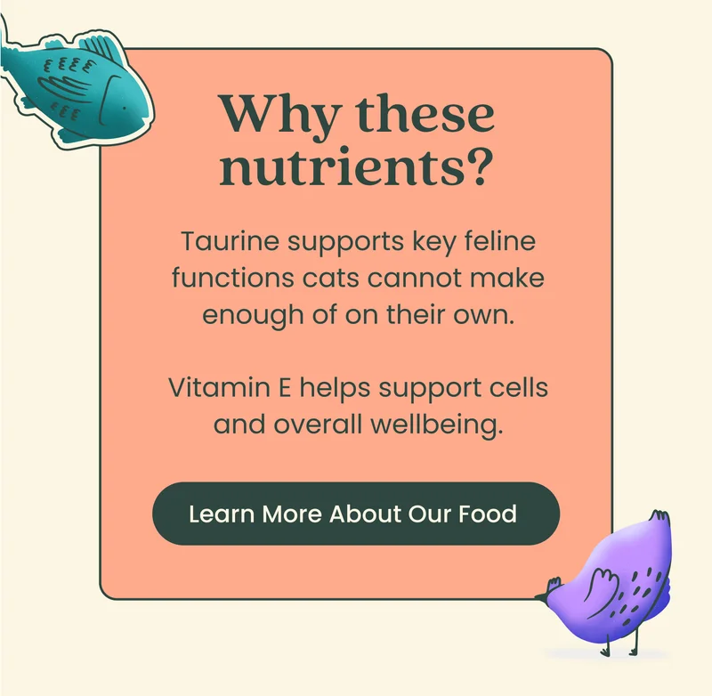 Learn More About Our Food