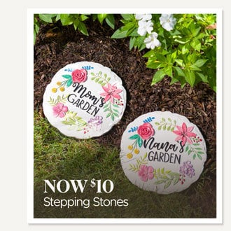 Stepping Stones now $10