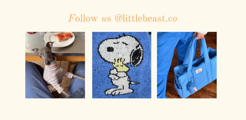 Follow us on Instagram