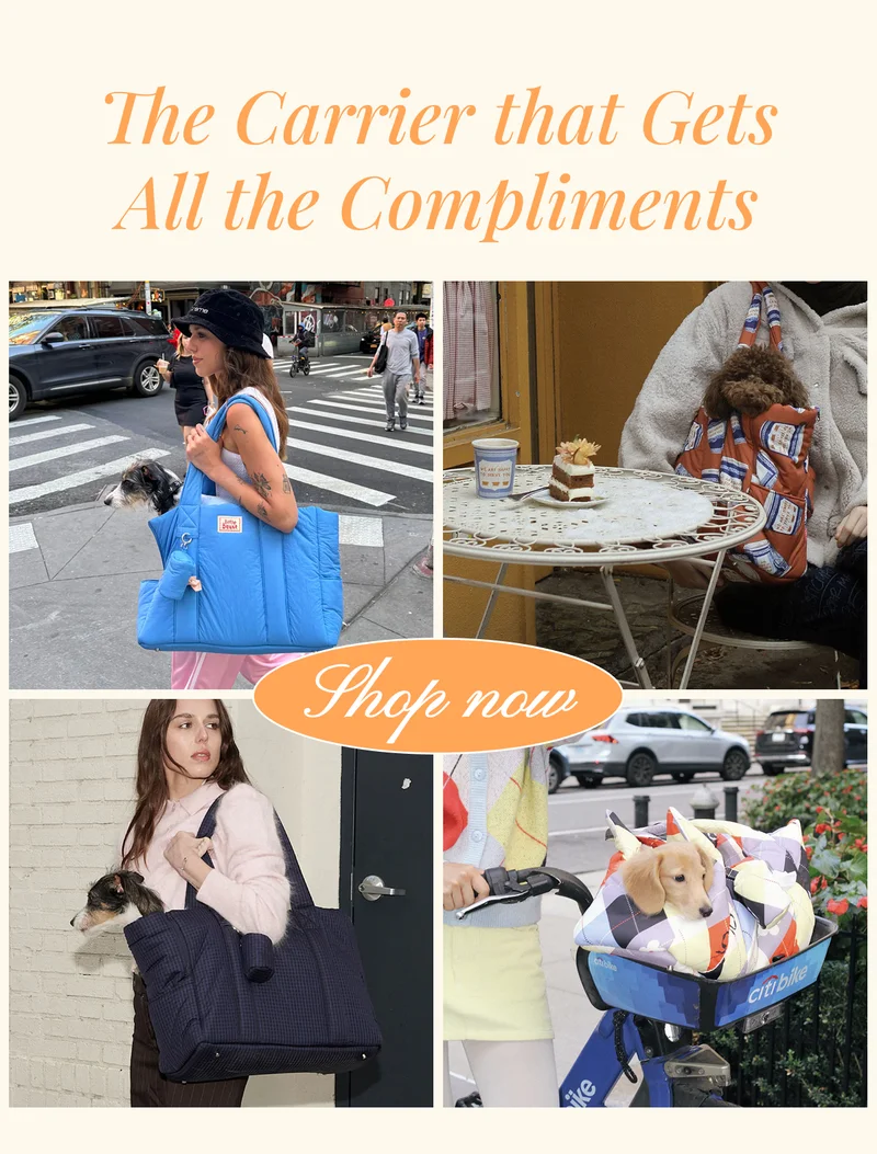 The Carrier that Gets All the Compliments