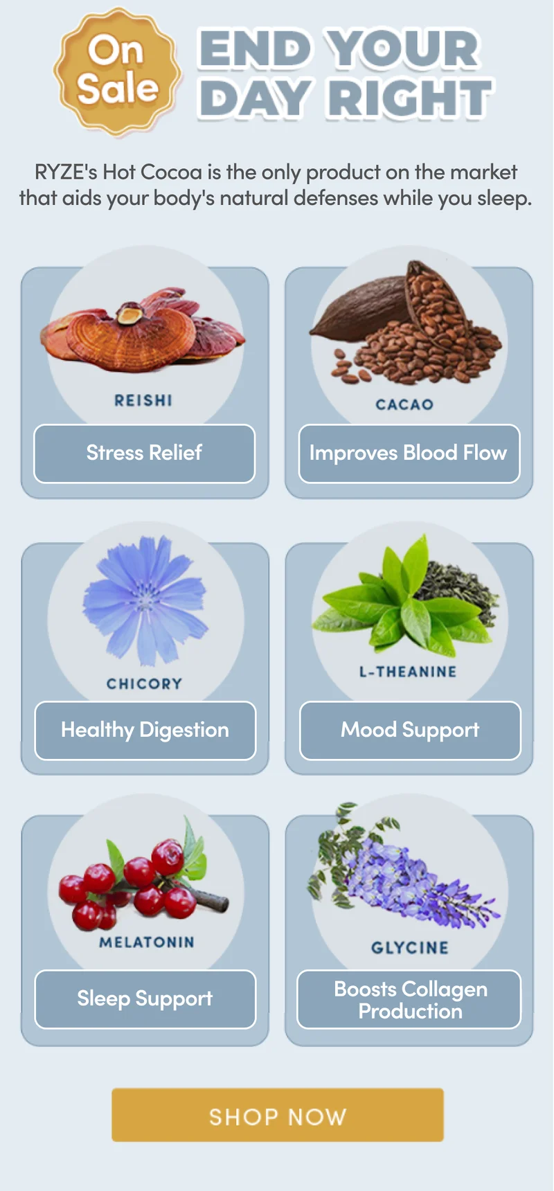 End Your Day Right | RYZE's Hot Cocoa is the only product on the market that aids your body's natural defenses while you sleep. | Reishi: Stress Relief | Cacao: Improves Blood Flow | Chicory: Healthy Digestion | L-Theanine: Mood Support | Melatonin: Sleep Support | Glycine: Boosts Collagen Production | Shop Now