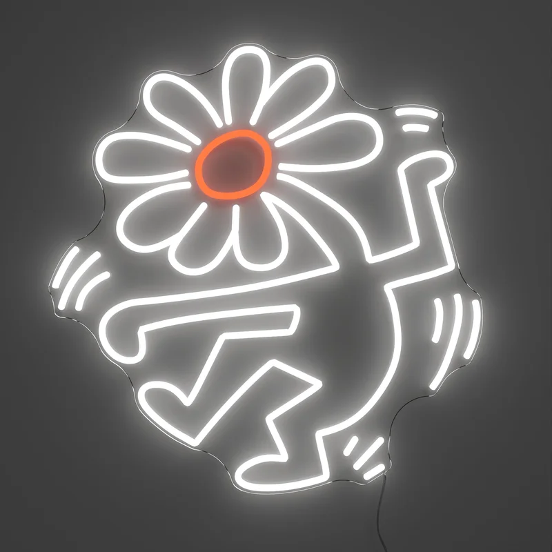 Image of Flower Head, YP x Keith Haring