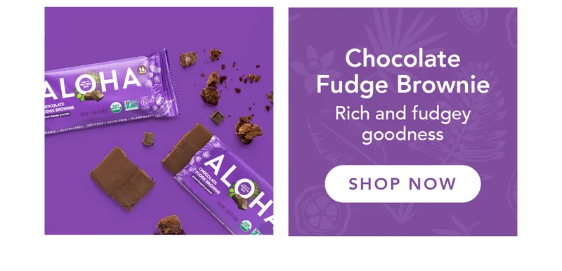 Chocolate Fudge Brownie Protein Bar