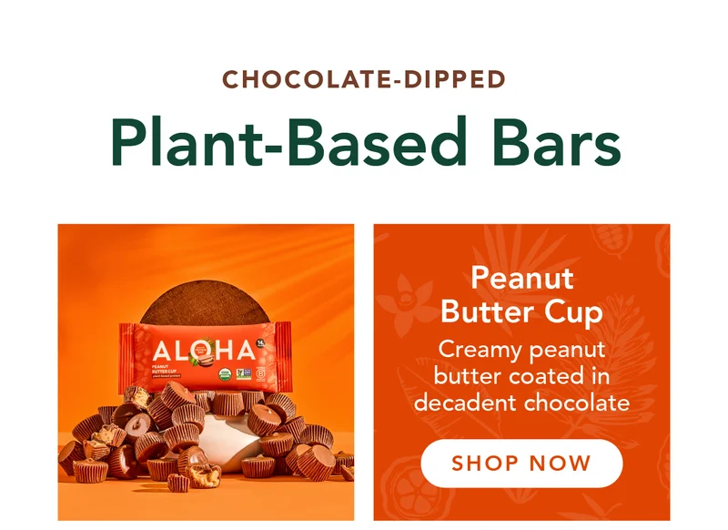 Peanut Butter Cup Protein Bar