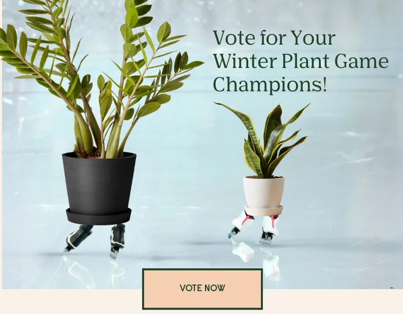 vote on your favorite plants