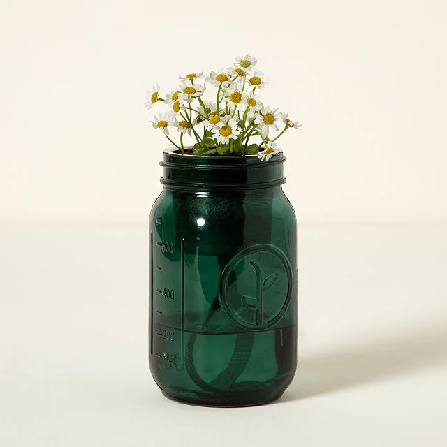 Mason Jar Indoor Flower Garden