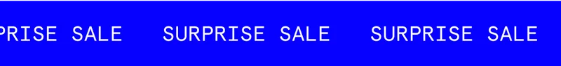 SURPRISE SALE
