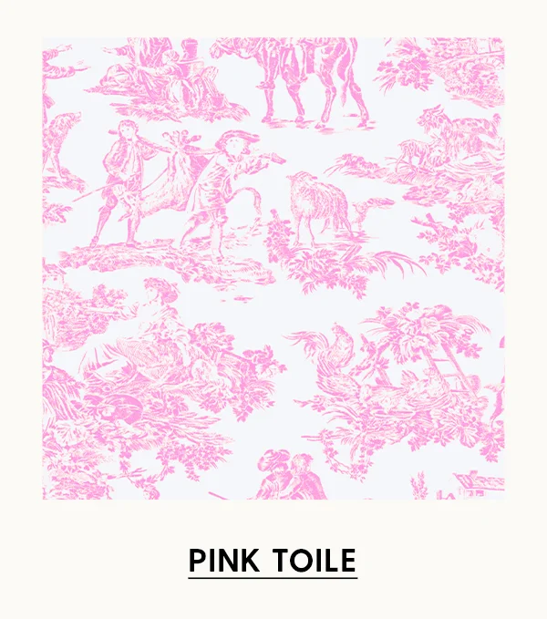 View Pink Toile