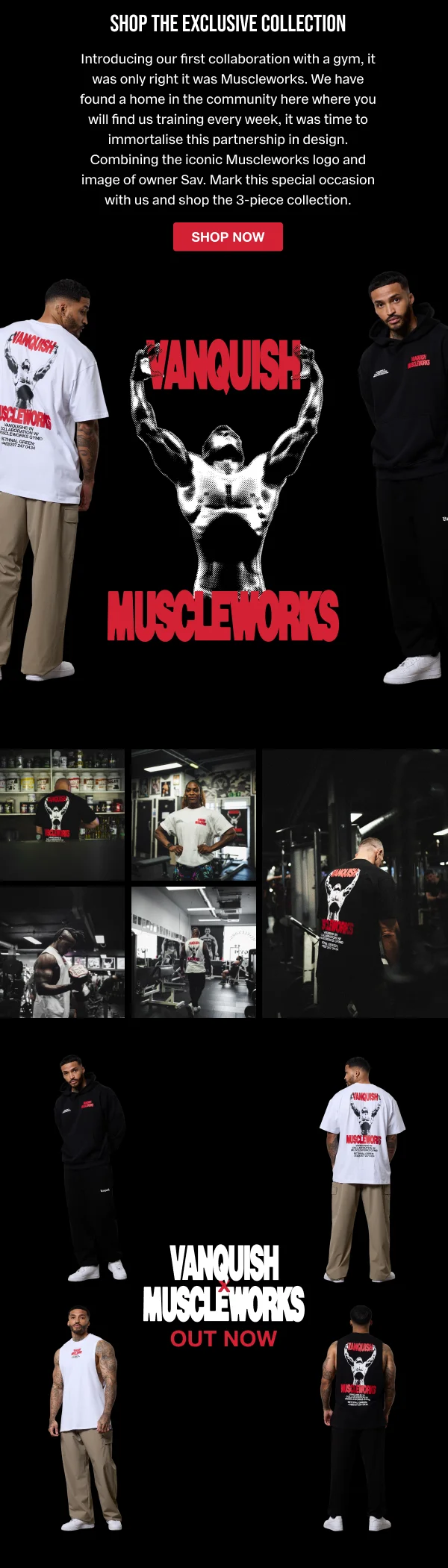 Muscleworks x VQ