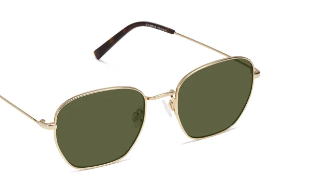Hale Sunglasses