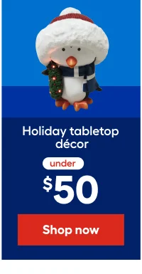 Holiday tabletop decor under $50.
