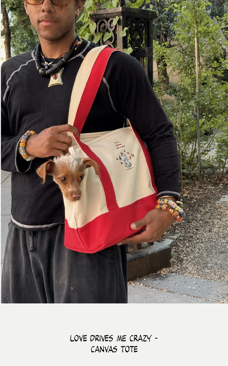 Our Snoopy Carriers Finally Here!