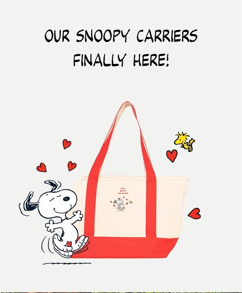 Our Snoopy Carriers Finally Here!