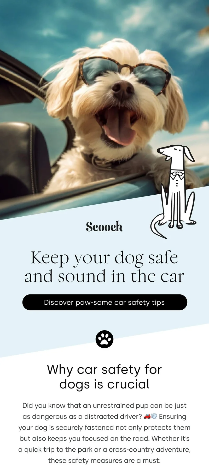 Discover paw-some car safety tips