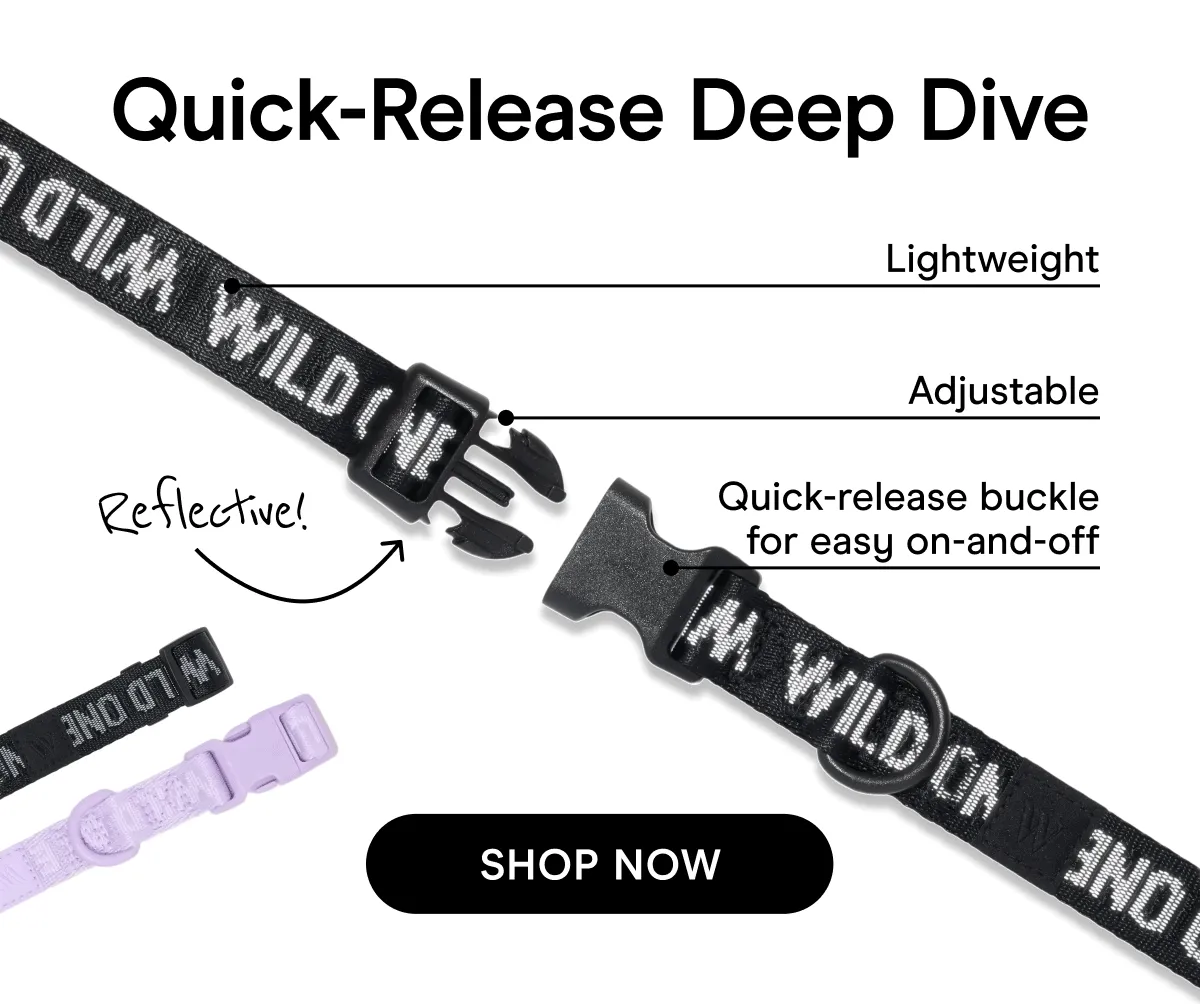 Adjustable Quick-release buckle for easy on-and-off