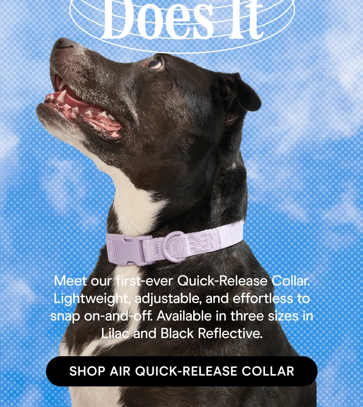 Meet our first-ever Quick-Release Collar. Lightweight, adjustable, and effortless to snap on-and-off. Available in three sizes in Lilac and Black Reflective.
