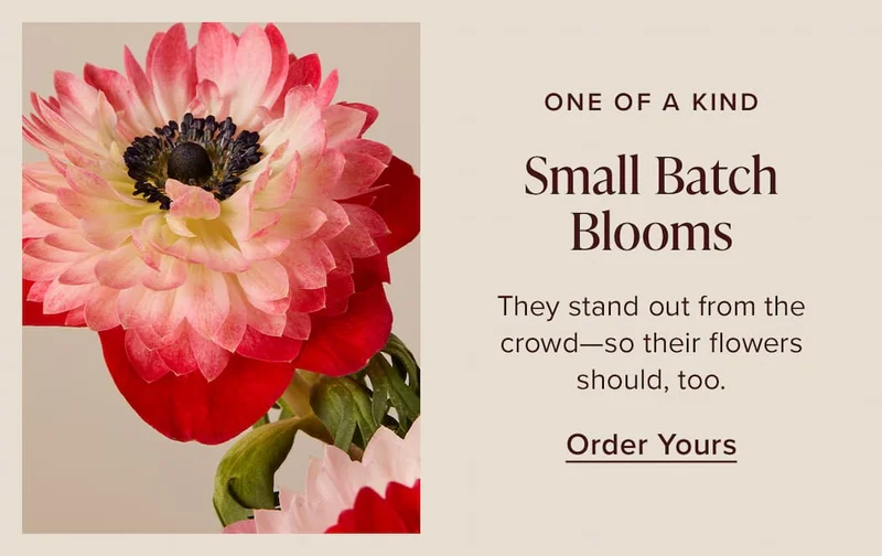 One Of a Kind: Small Batch Blooms. They stand out from the crows--so their flowers should, too. Order Yours.