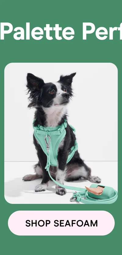 Shop Seafoam
