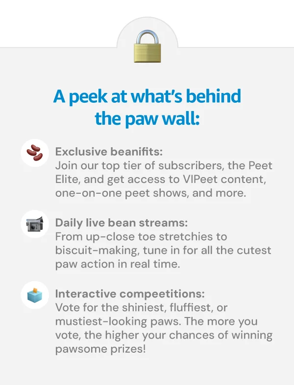A peek at what’s behind the paw wall: 🫘 **Exclusive beanifits:** Join our top tier of subscribers, the Peet Elite, and get access to VIPeet content, one-on-one peet shows, and more.  **📹 Daily live bean streams:** From up-close toe stretchies to biscuit-making, tune in for all the cutest paw action in real time.  **🗳️ Interactive compeetitions:** Vote for the shiniest, fluffiest, or mustiest-looking paws. The more you vote, the higher your chances of winning pawsome prizes!