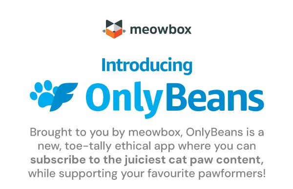 Introducing OnlyBeans! Brought to you by meowbox, OnlyBeans is a new, toe-tally ethical app where you can subscribe to the juiciest cat paw content, while supporting your favourite pawformers!