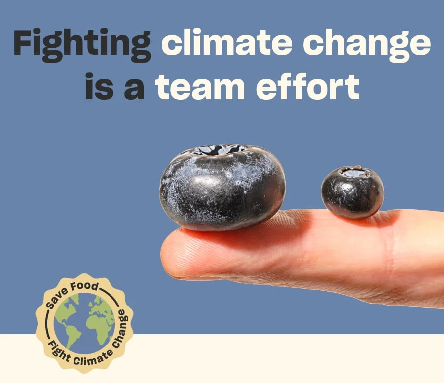 Fighting climate change is a team effort