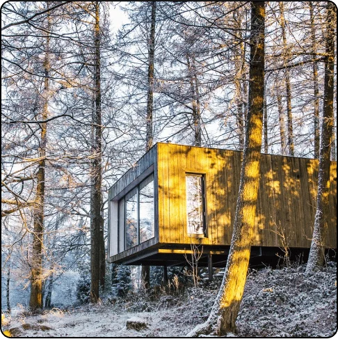 Image Description: A modern cabin surrounded by trees.