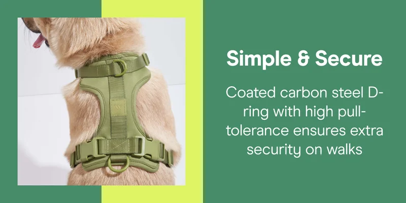 Simple & Secure Coated carbon steel D-ring with high pull-tolerance ensures extra security on walks