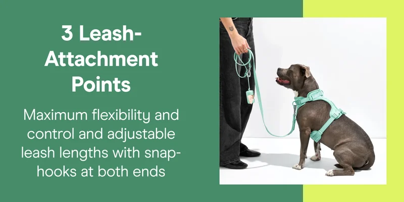 3 Leash-Attachment Points Maximum flexibility and control and adjustable leash lengths with snap-hooks at both ends