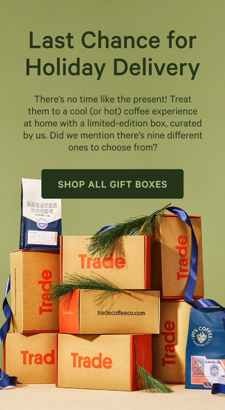 Last Chance for Holiday Delivery