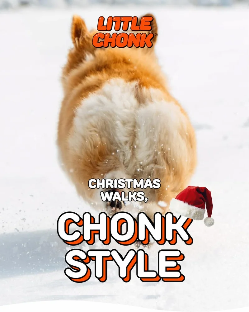 CHONK STYLE
