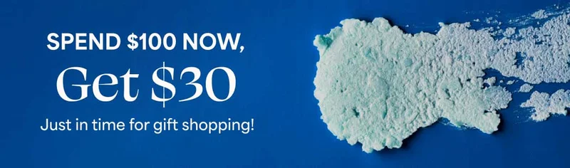 SPEND $100 NOW, Get $30 Just in time for gift shopping!