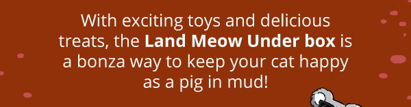 With exciting toys and delicious treats, the Land Meow Under box is a bonza way to keep your cat happy as a pig in mud!