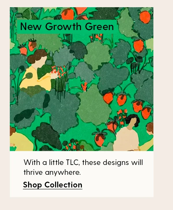 New Growth Green
| With a little TLC, these designs will thrive anywhere. | Shop Collection