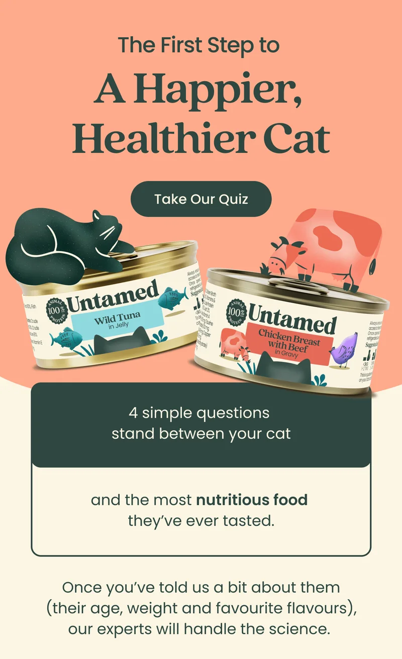 Take Our Quiz
