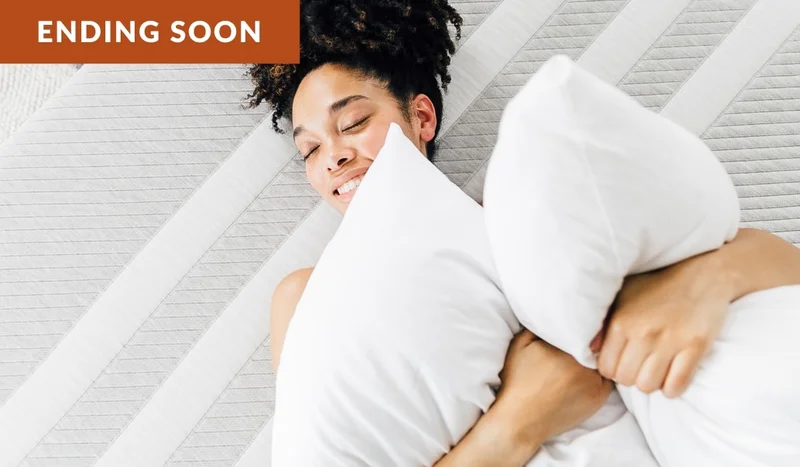 Ending soon: 2 FREE pilows ($180 value)