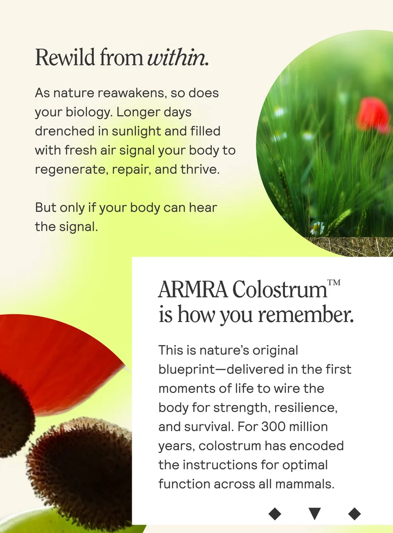 Rewild from within.  As nature reawakens, so does  your biology. Longer days  drenched in sunlight and filled with fresh air signal your body to regenerate, repair, and thrive. But only if your body can hear the signal.