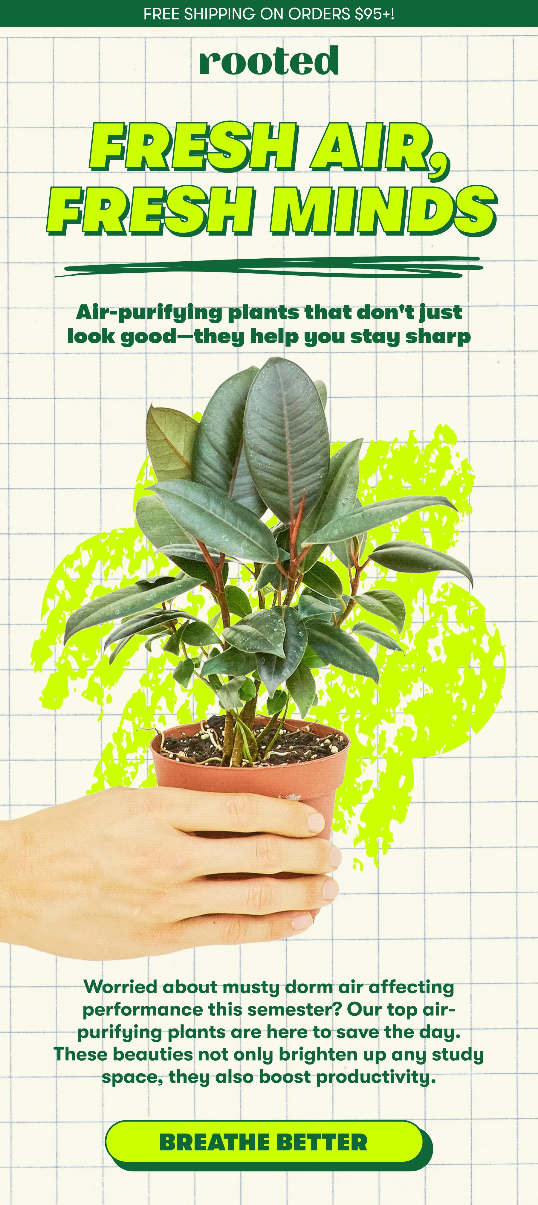 FREE SHIPPING ON ORDERS $95+! FRESH AIR, FRESH MINDS   Air-purifying plants that don't just look good—they help you stay sharp  Worried about musty dorm air affecting performance this semester? Our top air-purifying plants are here to save the day. These beauties not only brighten up any study space, they also boost productivity. [BREATHE BETTER]