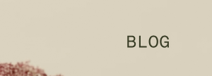 Blog