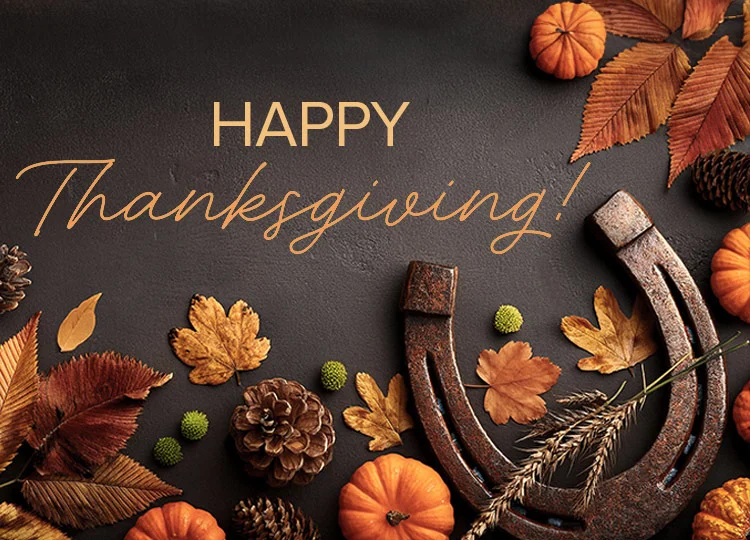 HAPPY THANKSGIVING