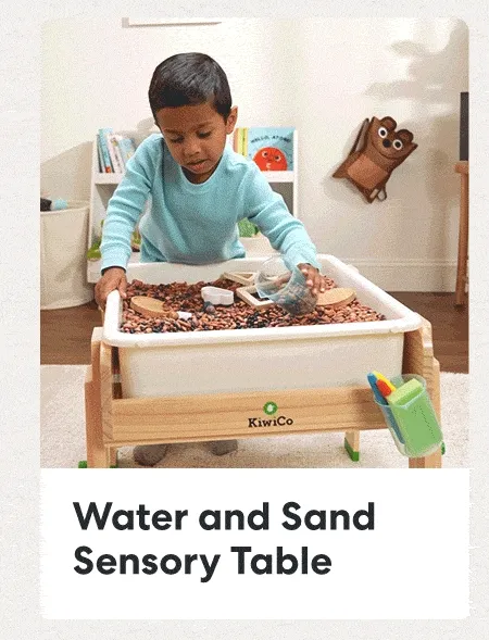 Kiwico Water and Sand Sensory Table