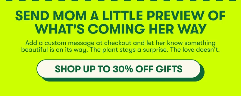 send a gift preview