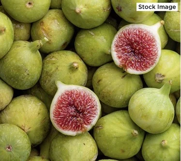 Girl Next Door 1-Piece Pingo de Mel Honey Fig Tree Live Plant