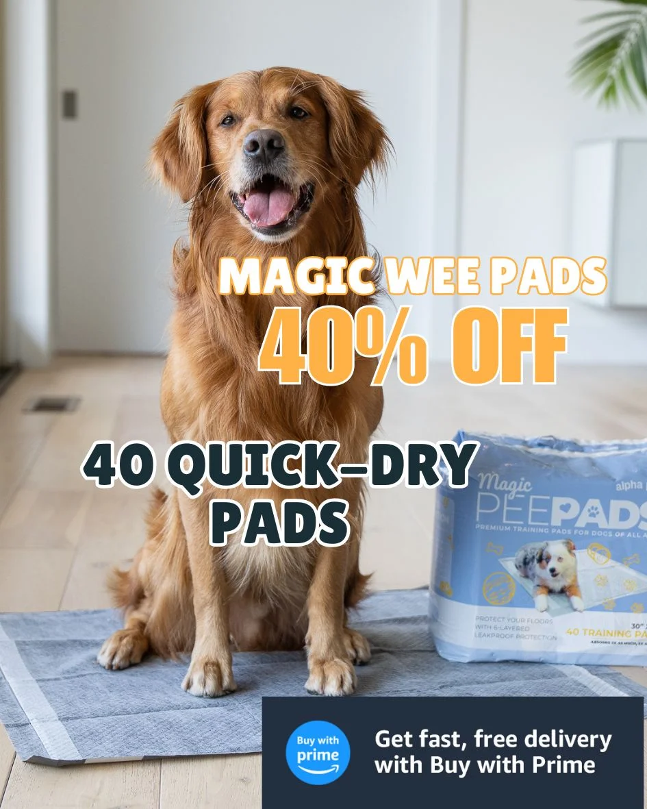 Magic Pads