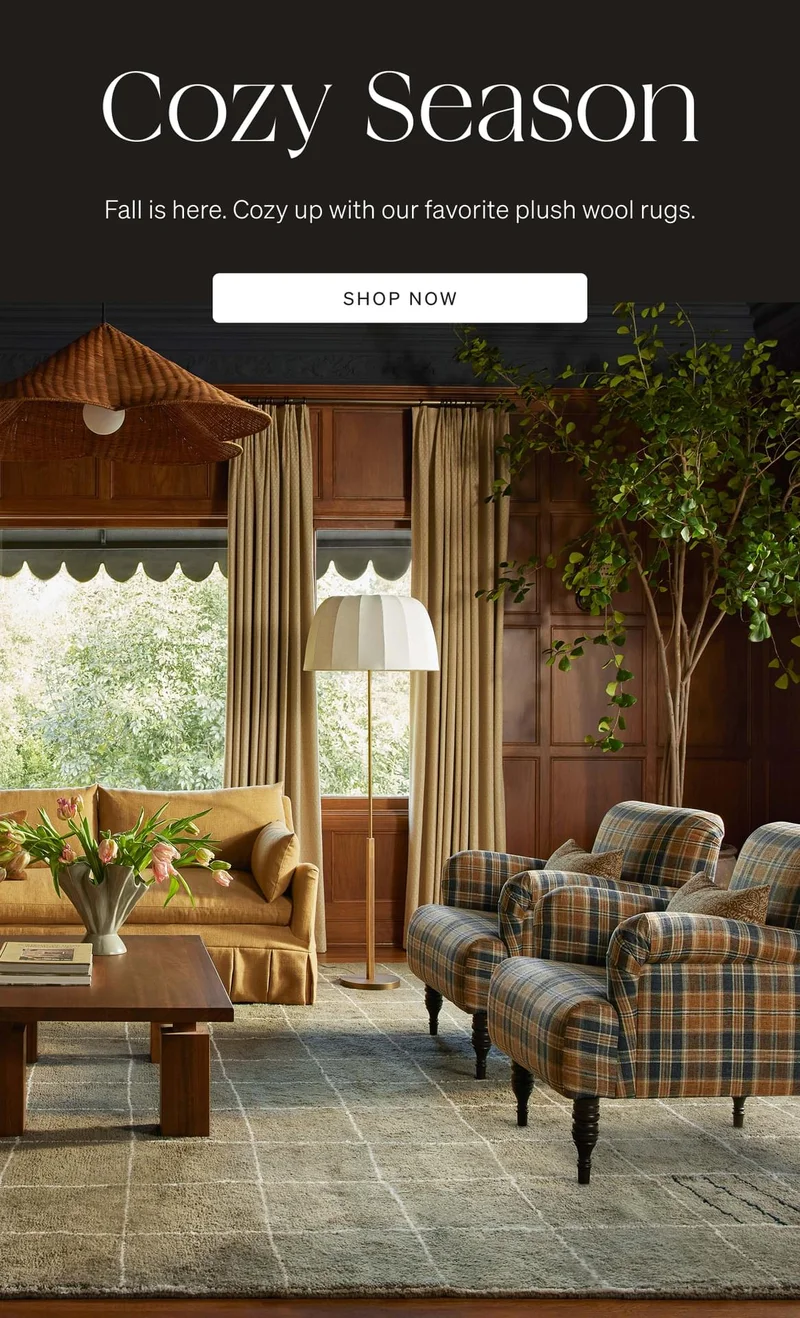 Shop Cozy Rugs