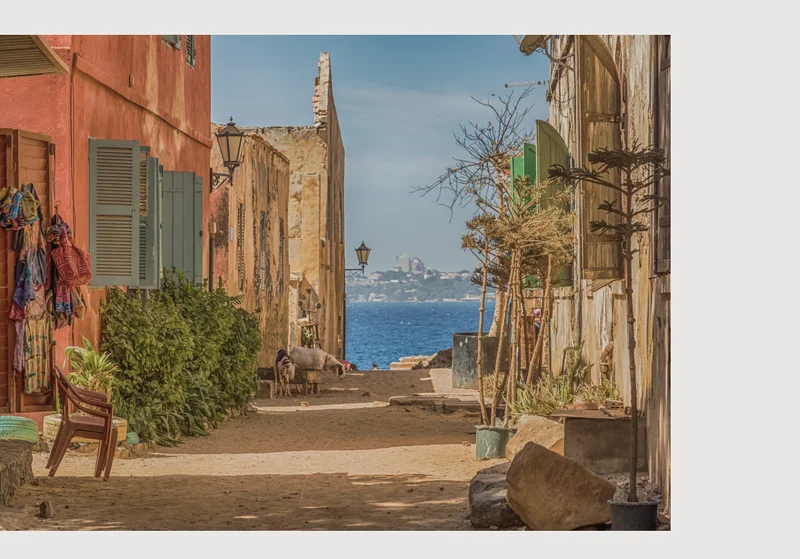 Explore Dakar